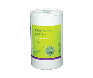 CHRYSOPA-SYSTEM-mod