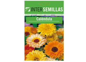 CALENDULA