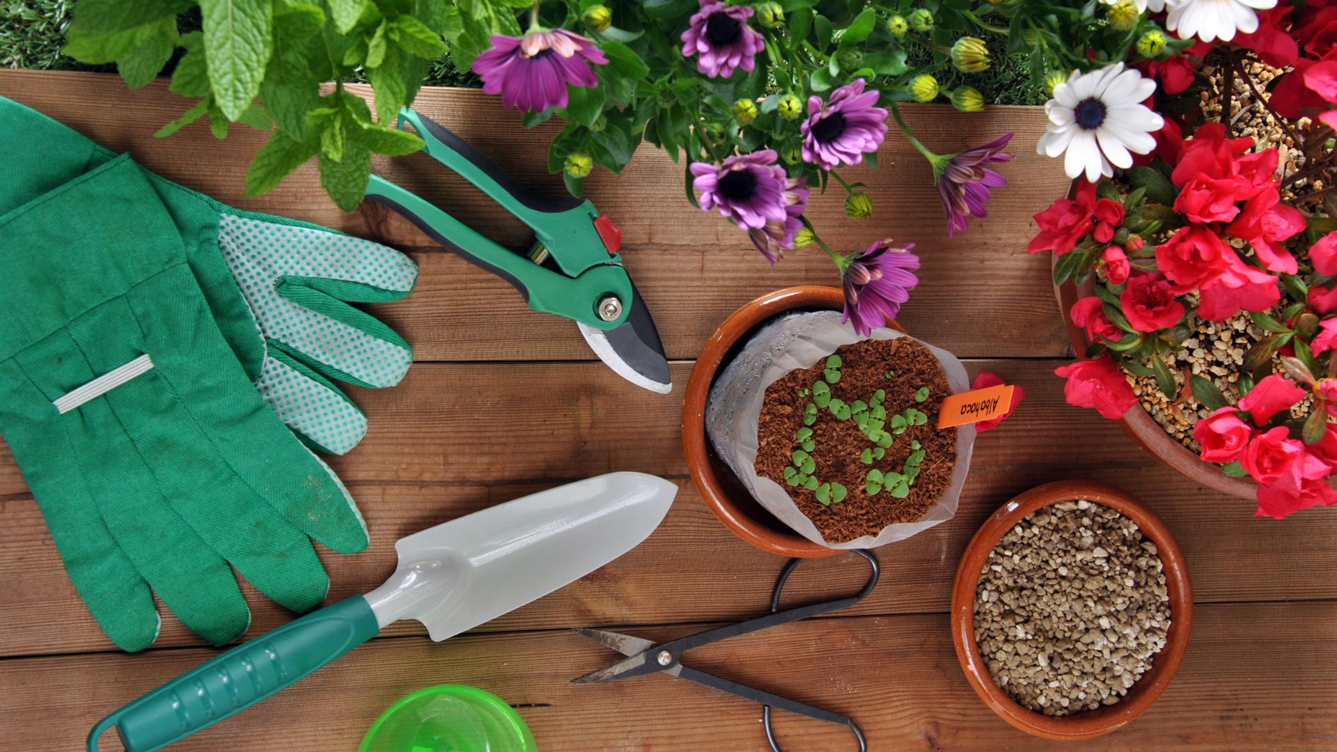 Herramientas de Jardinería en Cantabria