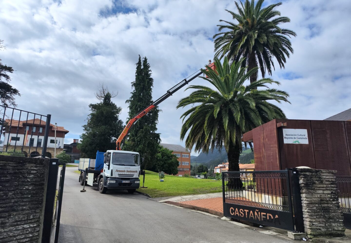 TRATAMIENTO PALMERAS picudo rojo cantabria